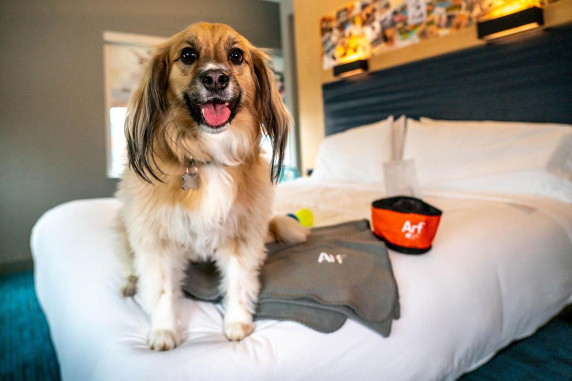 Aloft Louisville Downtown Kültér fotó